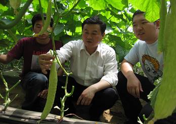 李建设（中）教授指导员工蔬菜栽培技术